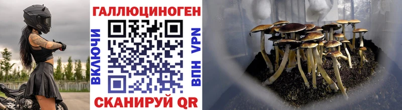 Галлюциногенные грибы GOLDEN TEACHER  Октябрьск 
